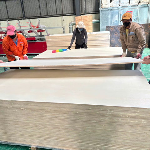 Modern Eco-Friendly Design Two-Times Hot Pressed Poplar with Acacia Core 12mm-21mm Thicknesses E0 Formaldehyde