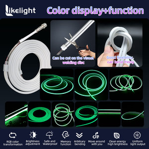 ไฟนีออนแบบเชือก RGB สำหรับขายส่ง OEM ODM ขนาด 4 มม.*10 มม. <span class=keywords><strong>แบบ</strong></span>ส่องด้านข้าง กันน้ำสำหรับใช้งานภายนอก<span class=keywords><strong>อาคาร</strong></span> เหมาะสำหรับตกแต่งภูมิทัศน์ - Product Image 3