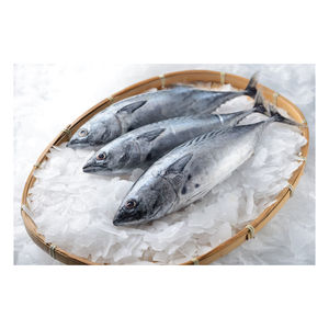 Pescado Congelado al por Mayor, Corte Medio, Paquete a Granel de 25 kg, Oferta con 10% de Descuento, Grado A, Bajo en Sodio, Bajo en Carbohidratos/Bajo en Grasas, Sin Aditivos, Mariscos - Product Image 5