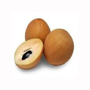 Fruta de sapota chikoo de alta calidad, fresca, orgánica, producto tropical, compradores al por mayor, proveedores de exportación, cultivada en granja - Product Image 5