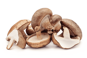BEST SELLER Fournisseur vietnamien de champignons shiitake séchés |   Approvisionnement fiable en vrac - Product Image 3