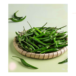 Offre Spéciale Premium Exportation Piment vert frais Meilleure qualité Légumes frais pour l'alimentation disponible au prix de gros - Product Image 5