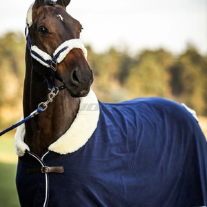 Bride de cheval en cuir d'extérieur fabriquée en style selle anglaise avec sangles réglables offrant un ajustement personnalisé et un confort supérieur - Product Image 2