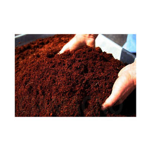 Bloques de turba de coco disponibles a granel a precio barato para los mercados internacionales - Product Image 4