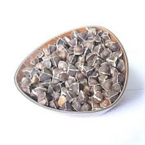 เมล็ดมะรุมมะรุมแบบดิบสกัดน้ำมันพืชใหม่1กก. - Product Image 2