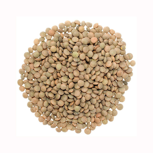 Top Quality Red and Green <b>Lentils</b> for Sale / Red Split <b>Lentils</b> / Red <b>Lentils</b> in Bulk - Product Image 4