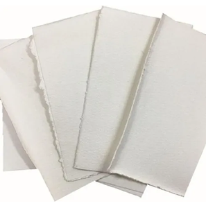 Ventes chaudes de pâte kraft de bois dur blanchie et de pâte kraft de bois tendre blanchie - Product Image 3