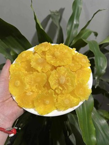 Tranches d'ananas séchées biologiques du Vietnam, ingrédient naturel de fruits tropicaux, pour pâtisseries, mélanges de thé, desserts, collations, vente en gros - Product Image 5