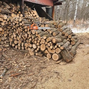 Bois de chauffage à vendre – Qualité supérieure et bois dur entièrement séché - Product Image 5