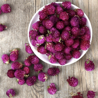 Ingrédient d'origine vietnamienne de fleur de Gomphrena globosa séchée naturelle pure pour la fabrication de pot-pourri et de thé