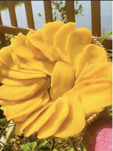 Mangue séchée douce Snack tropical caoutchouteux du Vietnam à base de mangue de qualité supérieure Idéal pour l'usine alimentaire, la boulangerie et l'approvisionnement en hôtels - Product Image 6