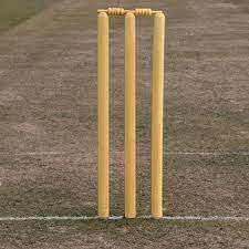 <b>Match</b> Ready Wickets Wooden Cricket Spring Wickets With Custom Made Standard International High Quality Custom Made Wooden Wicket - Product Image 2