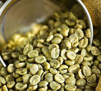 Grains de café robusta de haute qualité, spécialité verte, OEM, nouvelle récolte, graines éthiopiennes raisonnables, emballage d'exportation LUWAK, Vietnam