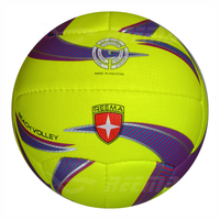 Balón de Voleibol de Playa de PVC Suave y Duradero de Primera Calidad, Colores Personalizados, Logotipo Bordado a Máquina, para Entrenamiento de Adultos - Reema Technologies