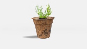 Eco-Friendly AGP Cocofiber Coconut Pot Made From Coco Fiber Cocopeat Free <b>Plastic</b> 2 Year <b>Shelf</b> Life Indonesia for Crafts Plants - Product Image 4