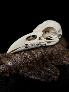 Statue d'animal sculptée en résine de designer Tradebyd, qualité supérieure, objet décoratif artistique de collection pour l'intérieur de la maison, cadeau - Product Image 2