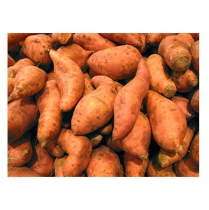 <b>Cheap</b> Wholesale Top Quality Fresh Vegetables <b>Sweet</b> Potatoes <b>In</b> <b>Bulk</b> - Product Image 6