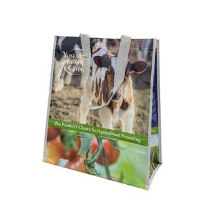 Origen de Vietnam, venta al por mayor, único logotipo impreso personalizado, laminado, reciclado, poliéster, PP, tejido, bolsa de compras con asas - Product Image 6