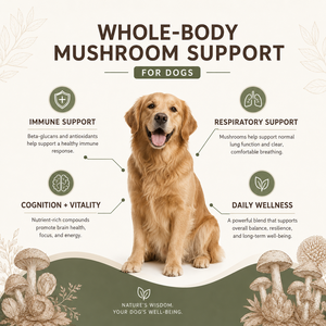 Complejo de Hongos Orgánicos de Marca Privada para Perros, Fórmula <span class=keywords><strong>Veterinaria</strong></span>, Defensa Respiratoria y Cognitiva para Mascotas, Polvo a Granel 3.2oz - Product Image 4
