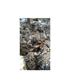 Coda di <span class=keywords><strong>Cavallo</strong></span> Naturale Nera Lucida di Alta Qualità, Impermeabile, a Filo Singolo e Doppio, per Halloween - Product Image 5