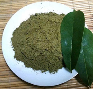 Su socio en guanábana: exportador a granel confiable de Vietnam - Product Image 2