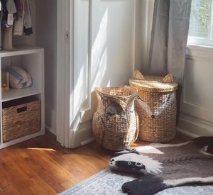 Cesta decorativa de búho de jacinto de agua natural, contenedor de almacenamiento tejido a mano para ropa, lavandería y organización del hogar de Vietnam - Product Image 6