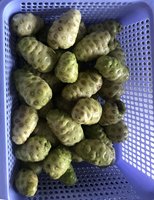 Fournir le meilleur prix Noni congelé en vrac de fruits Noni congelé à vendre la meilleure qualité Noni congelé ANGLE