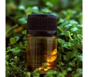 น้ำมัน ravinsara essentie บริสุทธิ์จาก100% น้ำมัน ravinsara บริสุทธิ์น้ำมันหอมระเหย - Product Image 4