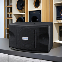 Système audio professionnel ARVOX 100W pour intérieur, enceintes