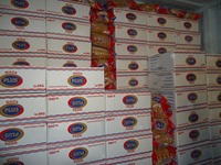 Mada Plus 10kg Pâtes séchées de qualité supérieure, faibles en gras, sans sucre, faibles en glucides, macaronis vermicelles, certifiées ISO 9001 et Halal, durée de conservation de 18 mois