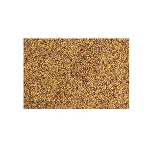 Graines fourragères à haut rendement pour fermes laitières Meilleures semences fourragères pour le pâturage des bovins - Product Image 6