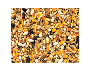 Alimento para aves de corral de alta calidad, carne de animales de pollo, harina de hueso a bajo precio de mercado, alimento para aves de corral de alta calidad 50%, alimento para animales de pollo - Product Image 4