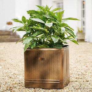Substantial round galvanized metal <b>tub</b> planter, providing ample space for large plants, shrubs, or a <b>mixed</b> herb garden on patios - Product Image 5
