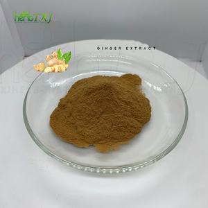 Поставка чистый натуральный органический экстракт корня имбиря порошок 4:1-20:1 - Product Image 1
