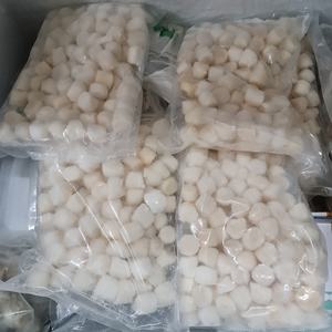 Frozen Scallop Meat Fresh Frozen Scallop Meat Whole High-quality Frozen Scallop Meat Delicious Holiday - Product Image 2