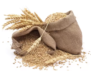 รำข้าวสาลีโปรตีนสูงแบบพรีเมี่ยมสำหรับใช้ทำม้ารำข้าวสาลีโปรตีนสูง - Product Image 5