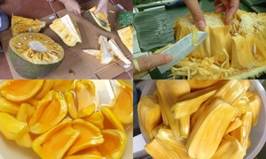 DRIED CRISPY JACKFRUIT // NATURAL SNACK FROM VIETNAM // Ms. Beatrix - Product Image 4