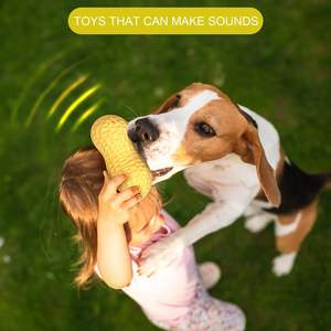 Hiphoppet toptan çevre dostu gıcırtılı köpek çiğneme oyuncakları dayanıklı doğal sevimli 3D kauçuk fıstık oyuncak Pet köpek diş temizleme için - Product Image 3