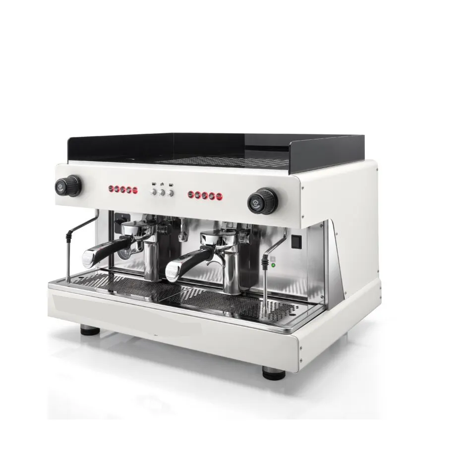 Iyi fiyata satılık ticari kahve makinesi (Pegaso EVD 2GR)