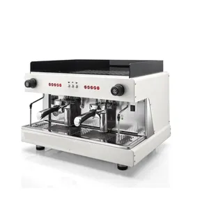 좋은 가격에 판매되는 상업용 커피 머신 (Pegaso EVD 2GR)