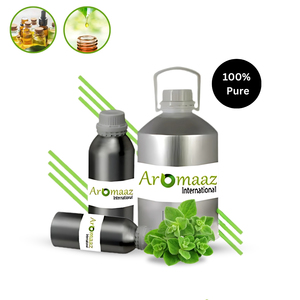 Aceite esencial de orégano orgánico de primera calidad, ingrediente de árbol de té, grado cosmético, suministro a granel de proveedor indio - Product Image 5