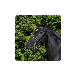 Remache de arroz plegable, - Product Image 1