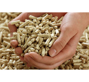 Venta de Pellets de Madera Premium a Precio de Fábrica, SUBASTA - Product Image 3