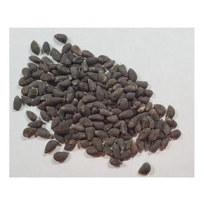 ขายเมล็ดฝ้ายคุณภาพสูง - Product Image 4