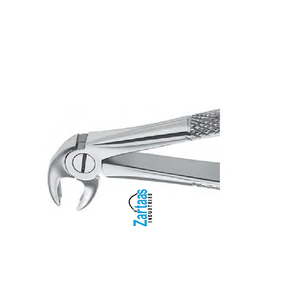 Pince d'extraction en acier inoxydable de haute qualité pour les molaires inférieures des enfants fig. 22S exportateurs et fabricant - Product Image 1