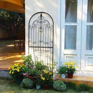 Treillis de jardin en métal décoratif pour plantes grimpantes, structure de support verticale extérieure pour l'aménagement paysager de la cour arrière de la maison - Product Image 1