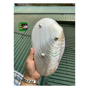 จานเปลือกหอยมุกที่ทำด้วยมือในเวียดนามจานเปลือกหอยธรรมชาติที่สวยงามเหมาะสำหรับการตกแต่งบ้านและรับประทานอาหาร - Product Image 2