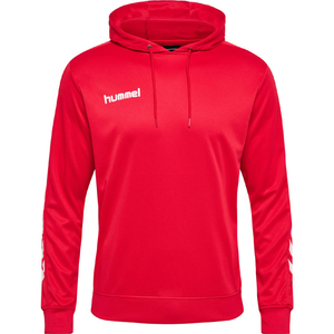 Haute qualité 100% polyester polaire hiver sweat à capuche personnalisé sérigraphie Logo respirant séchage rapide épais poids lourd surdimensionné - Product Image 1