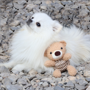 Jouets en peluche classiques pour chats, écologiques, en coton doux, avec cordes qui couinent, motif dessin animé - Product Image 3