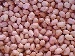 Arachides naturelles brutes séchées, croustillantes, riches en protéines, sans additifs, pour enfants et adultes, à consommer quotidiennement, en vente - Product Image 2